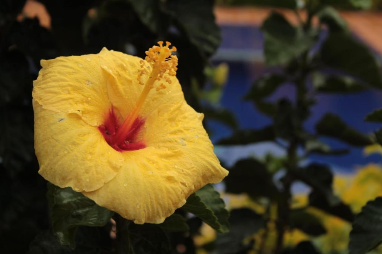 Finca Hotel El Diamante Каларка Экстерьер фото