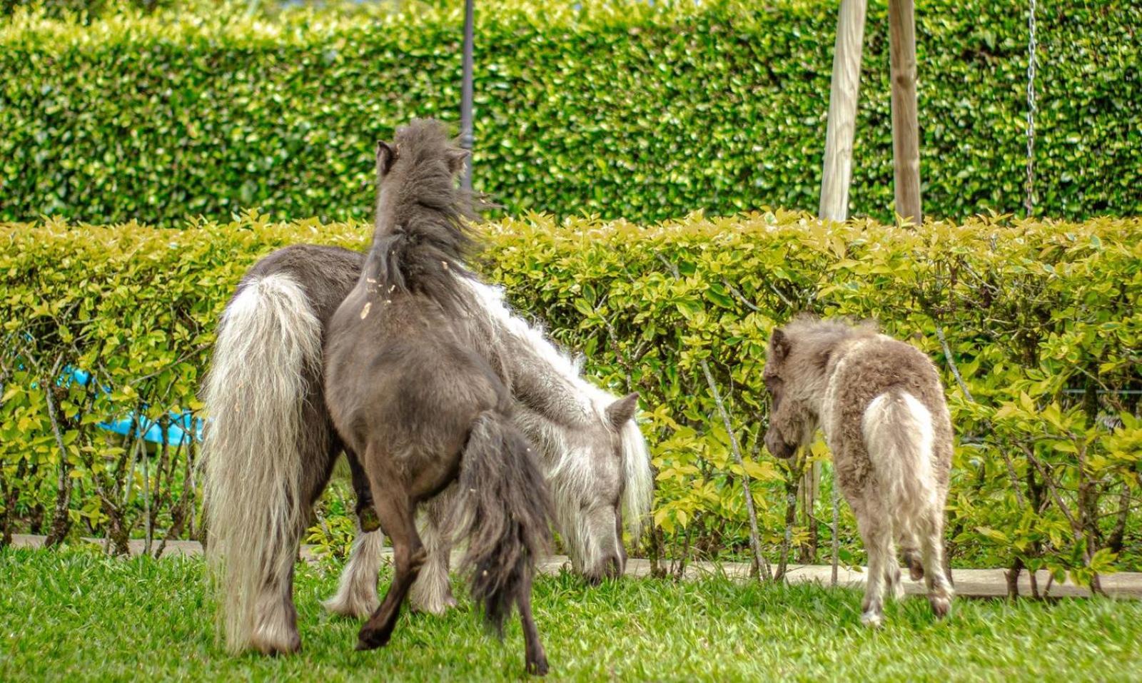 Finca Hotel El Diamante Каларка Экстерьер фото
