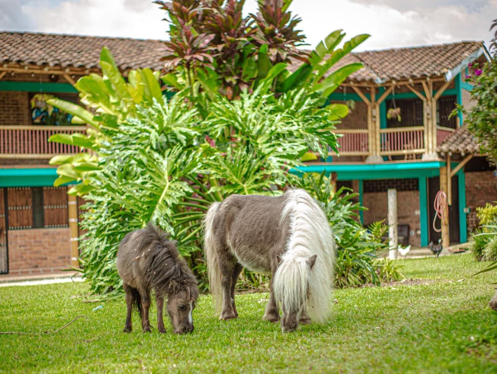 Finca Hotel El Diamante Каларка Экстерьер фото